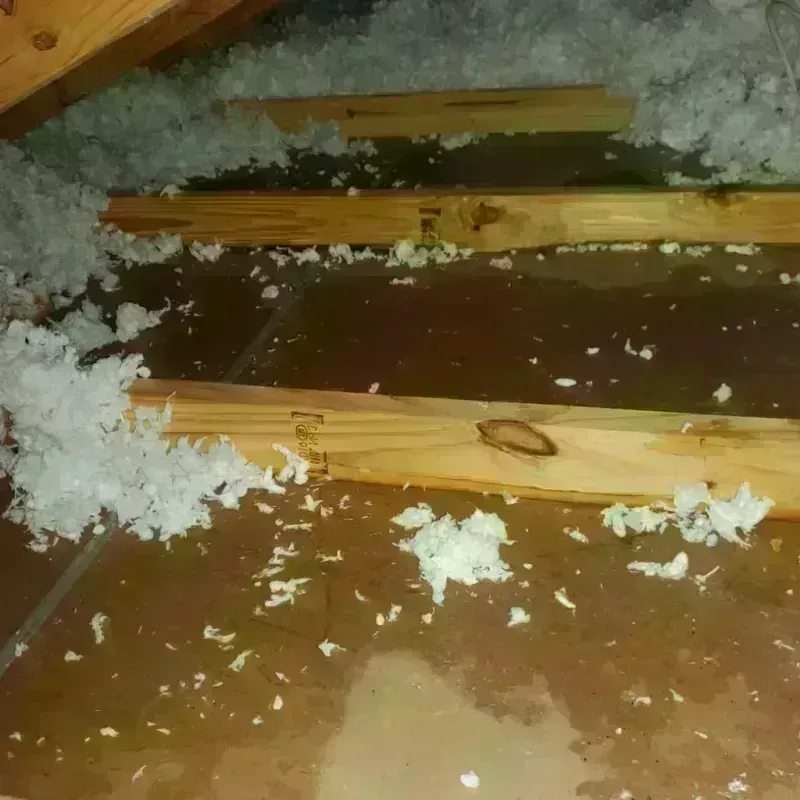 Attic Water Damage in Scottsville, NY